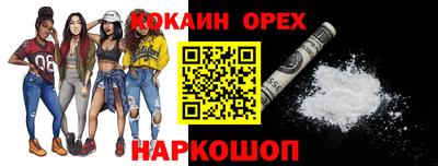 apvp Кингисепп