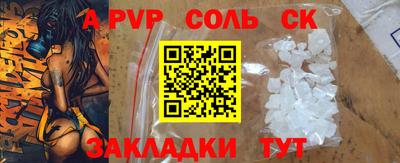 apvp Кингисепп