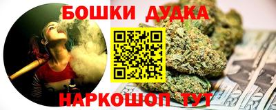 apvp Кингисепп