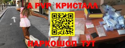 apvp Кингисепп
