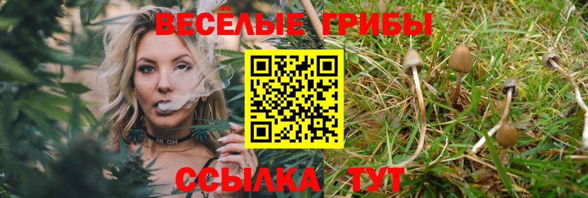 Туймазы  Галлюциногенные грибы мицелий  дарнет шоп  Вход с VPN 